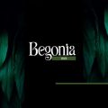 مول بيجونيا ووك التجمع الخامس ـ Begonia walk New Cairo